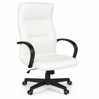 Scaun directorial piele ALBA | model OMEGA P